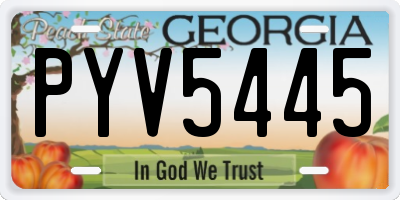 GA license plate PYV5445