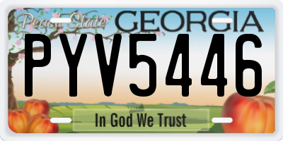 GA license plate PYV5446