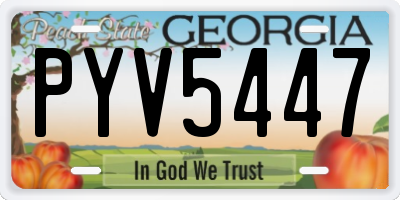 GA license plate PYV5447