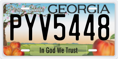 GA license plate PYV5448