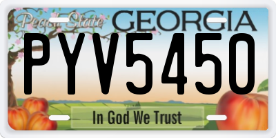 GA license plate PYV5450