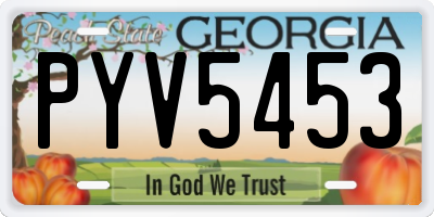 GA license plate PYV5453