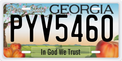 GA license plate PYV5460