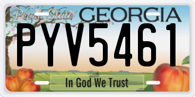 GA license plate PYV5461