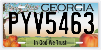 GA license plate PYV5463