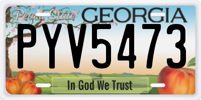 GA license plate PYV5473