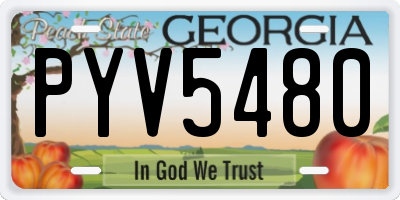 GA license plate PYV5480