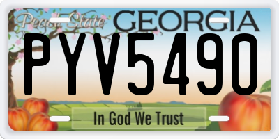 GA license plate PYV5490