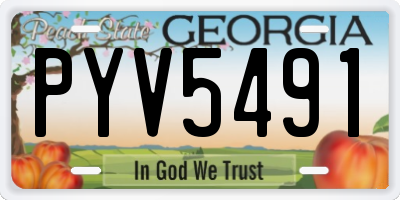 GA license plate PYV5491