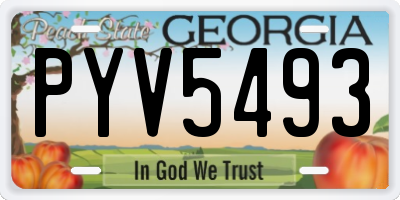 GA license plate PYV5493