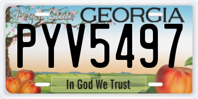 GA license plate PYV5497