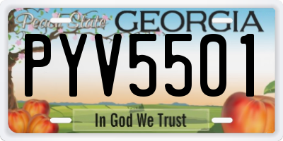 GA license plate PYV5501