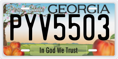 GA license plate PYV5503