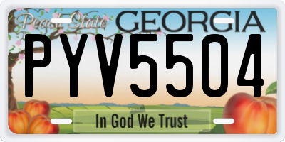GA license plate PYV5504