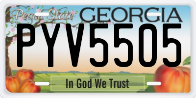 GA license plate PYV5505