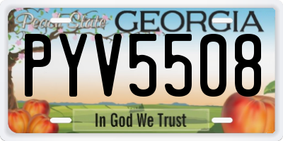GA license plate PYV5508