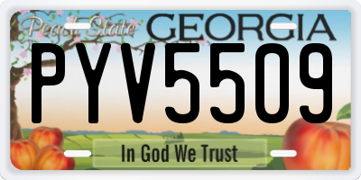GA license plate PYV5509