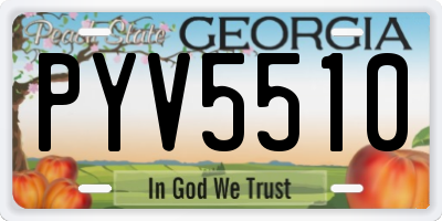 GA license plate PYV5510