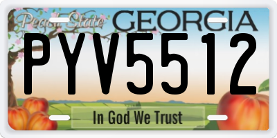 GA license plate PYV5512