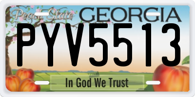 GA license plate PYV5513