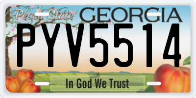 GA license plate PYV5514