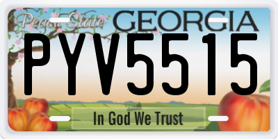GA license plate PYV5515