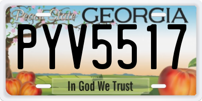 GA license plate PYV5517