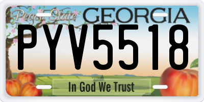 GA license plate PYV5518