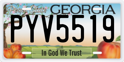 GA license plate PYV5519