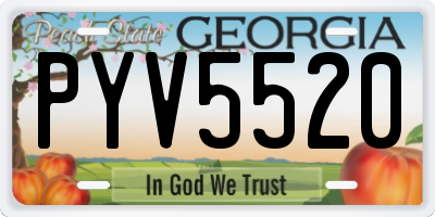 GA license plate PYV5520