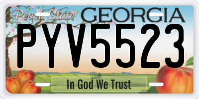 GA license plate PYV5523