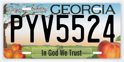 GA license plate PYV5524