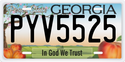 GA license plate PYV5525