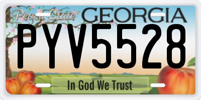 GA license plate PYV5528