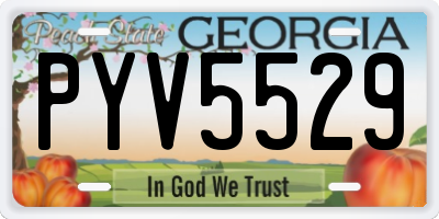 GA license plate PYV5529