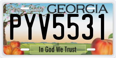 GA license plate PYV5531