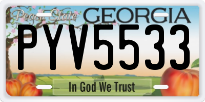 GA license plate PYV5533