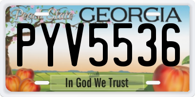 GA license plate PYV5536