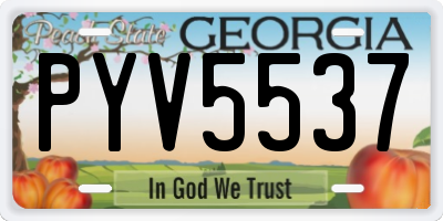 GA license plate PYV5537