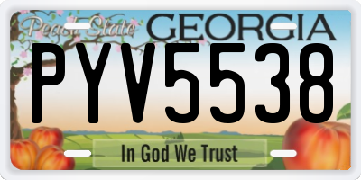 GA license plate PYV5538