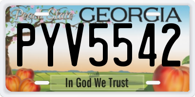 GA license plate PYV5542