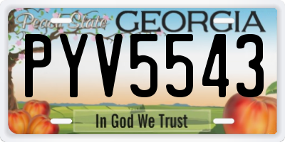 GA license plate PYV5543
