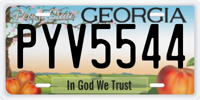 GA license plate PYV5544