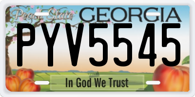 GA license plate PYV5545