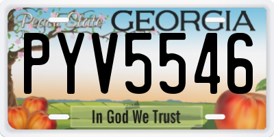 GA license plate PYV5546