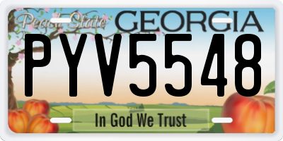 GA license plate PYV5548
