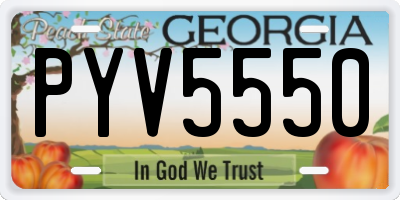 GA license plate PYV5550