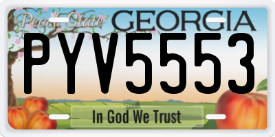 GA license plate PYV5553