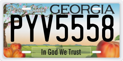 GA license plate PYV5558