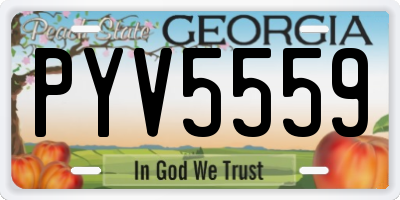 GA license plate PYV5559